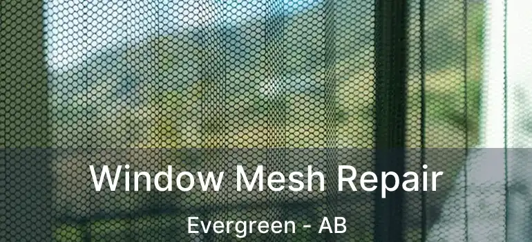  Window Mesh Repair Evergreen - AB