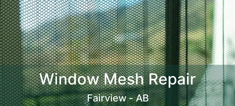  Window Mesh Repair Fairview - AB