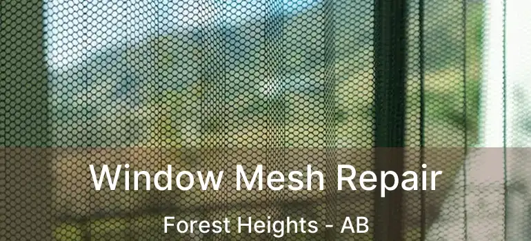  Window Mesh Repair Forest Heights - AB