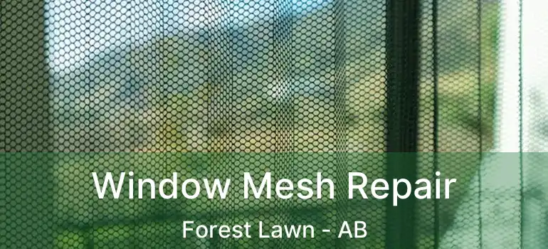  Window Mesh Repair Forest Lawn - AB