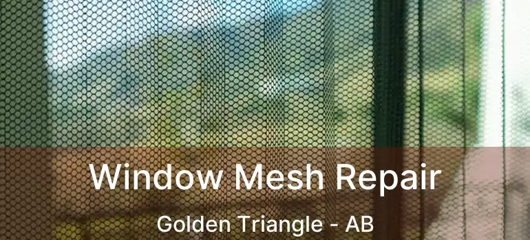  Window Mesh Repair Golden Triangle - AB