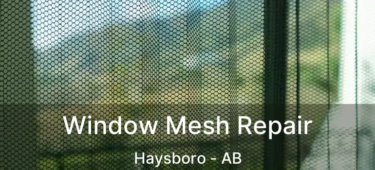  Window Mesh Repair Haysboro - AB