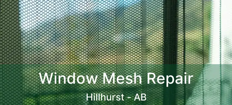  Window Mesh Repair Hillhurst - AB