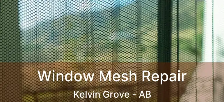  Window Mesh Repair Kelvin Grove - AB