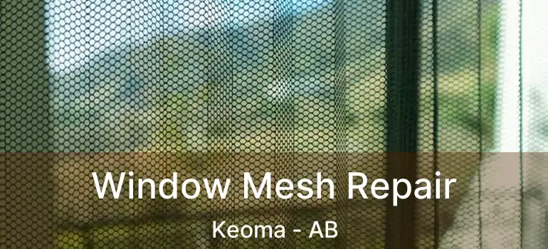  Window Mesh Repair Keoma - AB