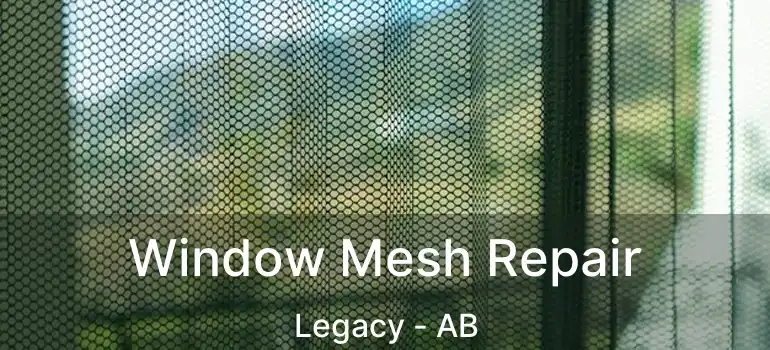  Window Mesh Repair Legacy - AB