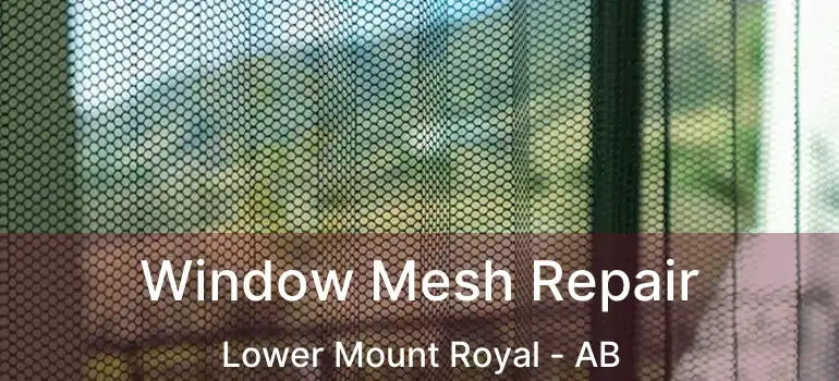  Window Mesh Repair Lower Mount Royal - AB