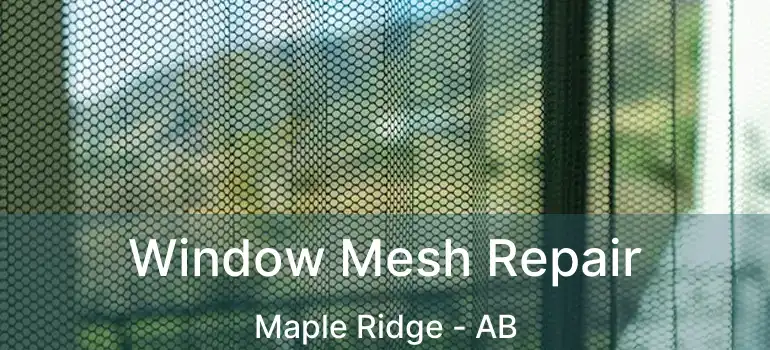  Window Mesh Repair Maple Ridge - AB