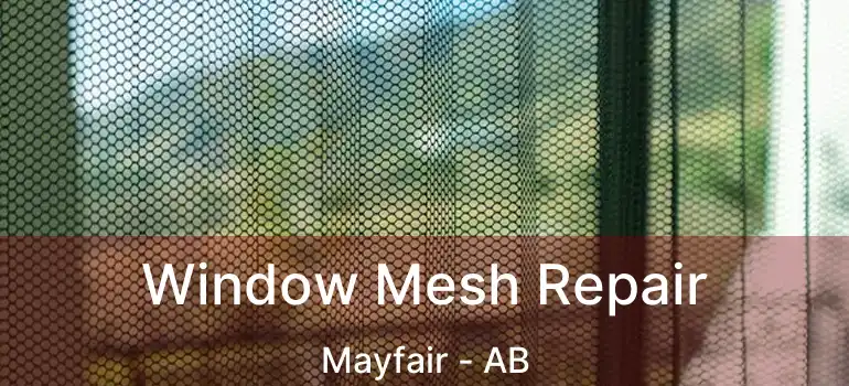  Window Mesh Repair Mayfair - AB