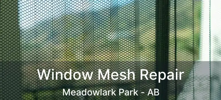  Window Mesh Repair Meadowlark Park - AB