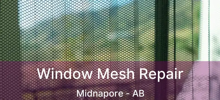 Window Mesh Repair Midnapore - AB