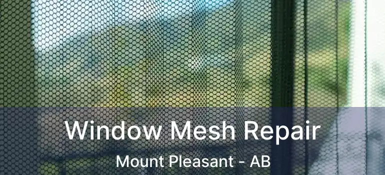  Window Mesh Repair Mount Pleasant - AB