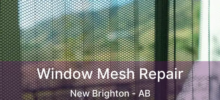  Window Mesh Repair New Brighton - AB