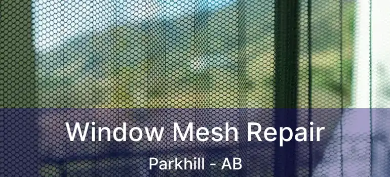  Window Mesh Repair Parkhill - AB