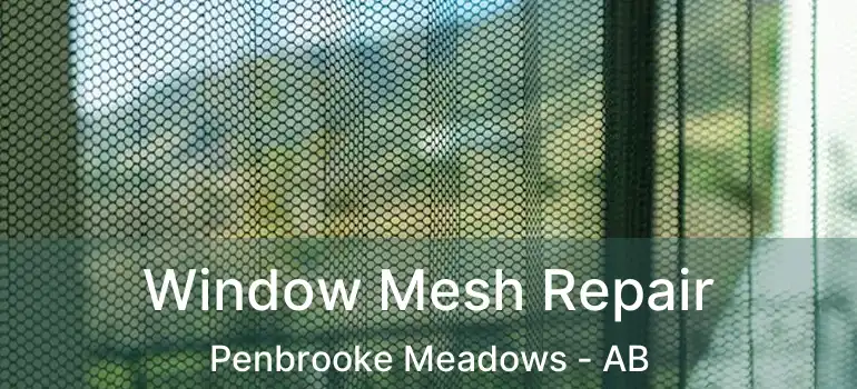  Window Mesh Repair Penbrooke Meadows - AB