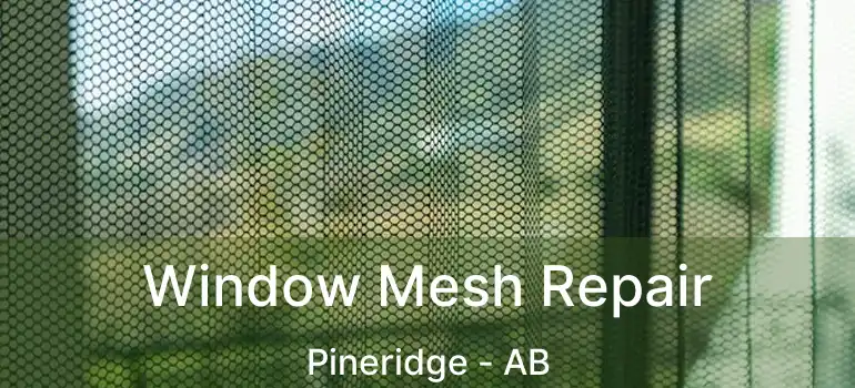  Window Mesh Repair Pineridge - AB