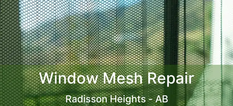  Window Mesh Repair Radisson Heights - AB