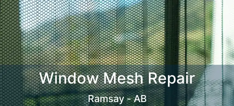  Window Mesh Repair Ramsay - AB