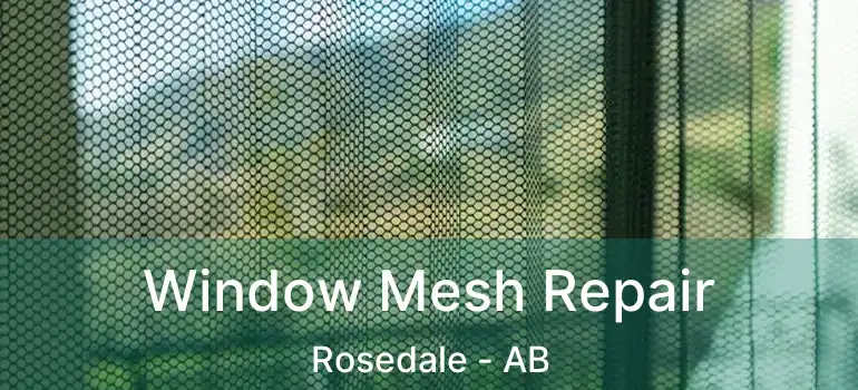  Window Mesh Repair Rosedale - AB