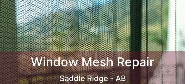  Window Mesh Repair Saddle Ridge - AB