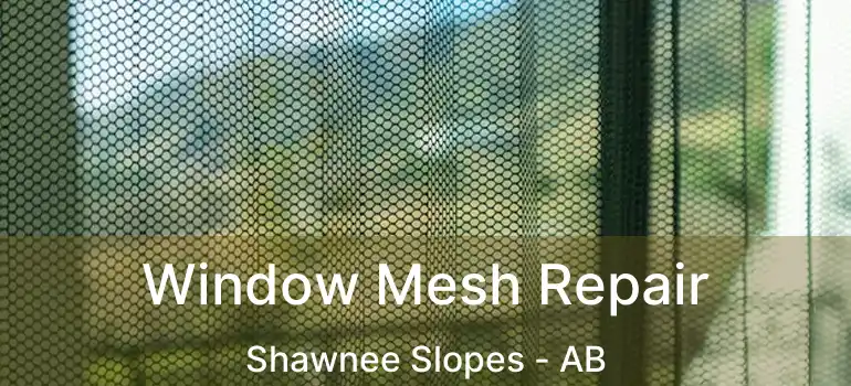  Window Mesh Repair Shawnee Slopes - AB