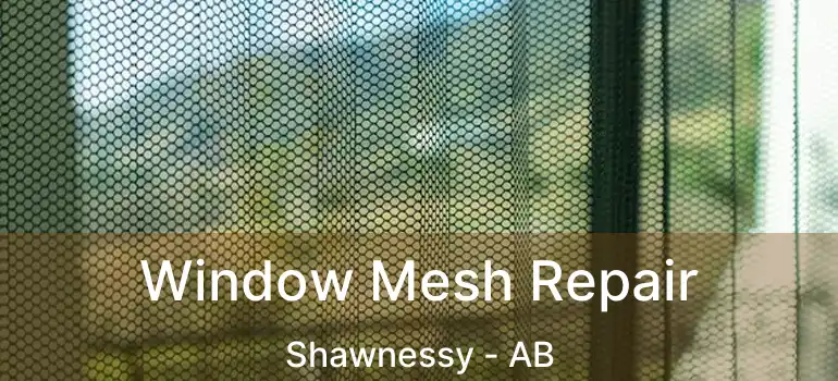  Window Mesh Repair Shawnessy - AB