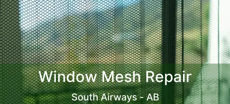  Window Mesh Repair South Airways - AB