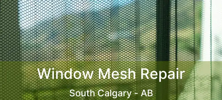  Window Mesh Repair South Calgary - AB