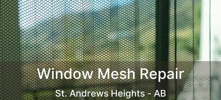  Window Mesh Repair St. Andrews Heights - AB