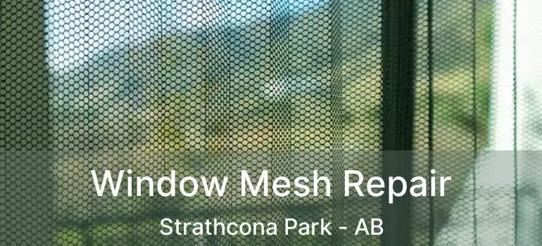  Window Mesh Repair Strathcona Park - AB