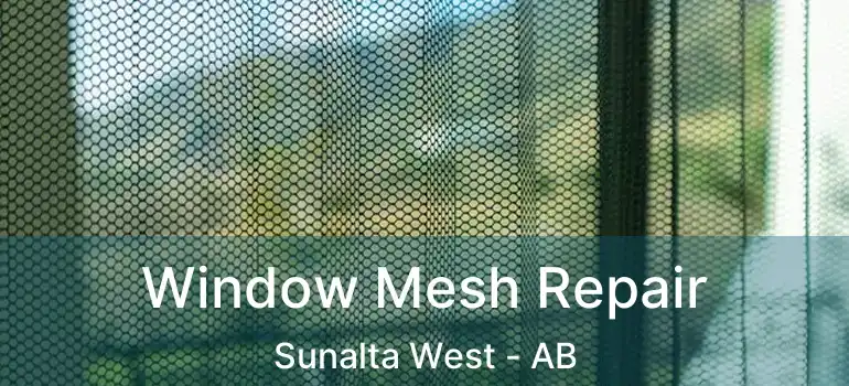  Window Mesh Repair Sunalta West - AB