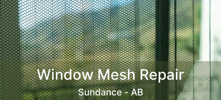  Window Mesh Repair Sundance - AB