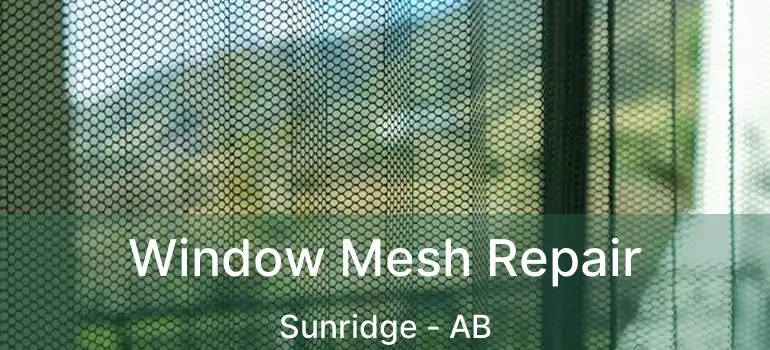  Window Mesh Repair Sunridge - AB