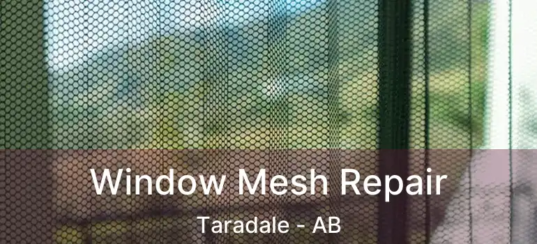 Window Mesh Repair Taradale - AB