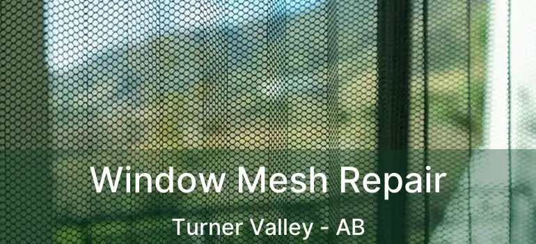  Window Mesh Repair Turner Valley - AB