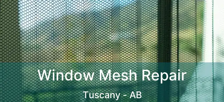  Window Mesh Repair Tuscany - AB