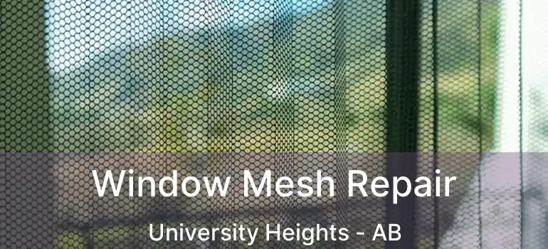  Window Mesh Repair University Heights - AB