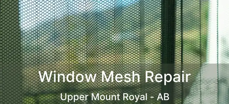  Window Mesh Repair Upper Mount Royal - AB