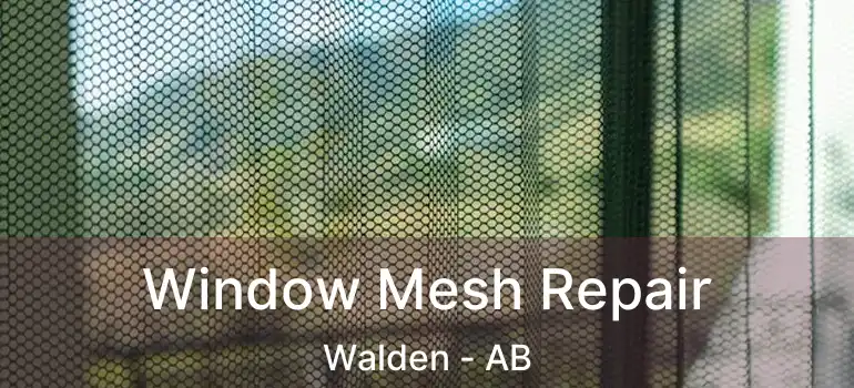  Window Mesh Repair Walden - AB