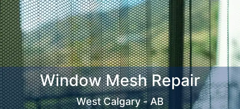  Window Mesh Repair West Calgary - AB