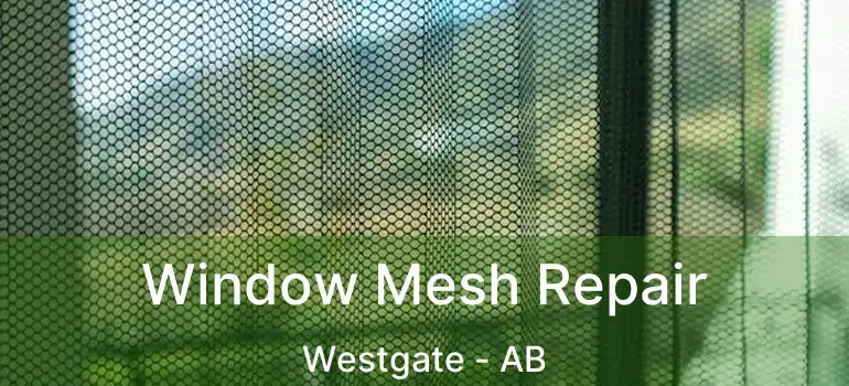  Window Mesh Repair Westgate - AB