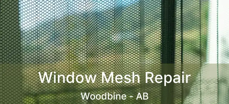  Window Mesh Repair Woodbine - AB