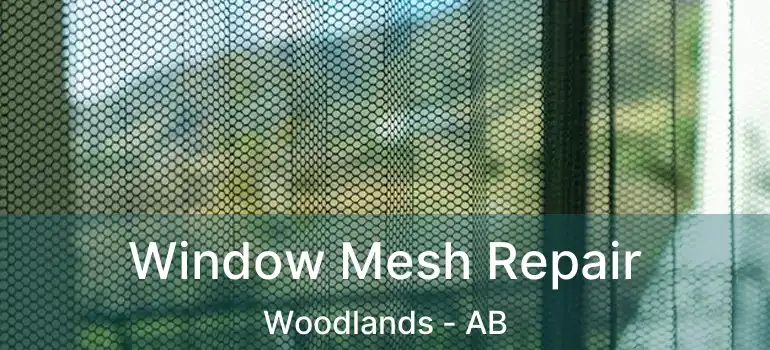  Window Mesh Repair Woodlands - AB