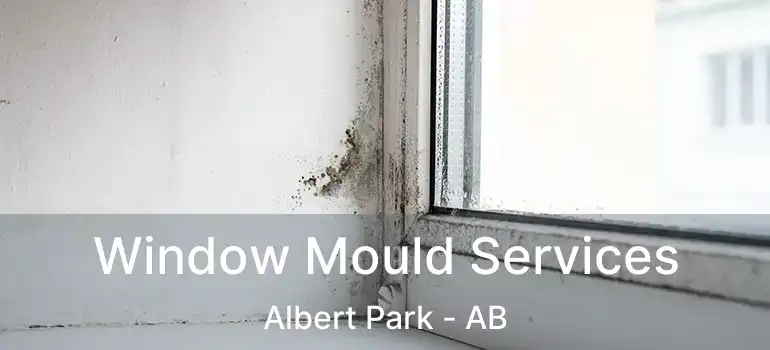  Window Mould Services Albert Park - AB
