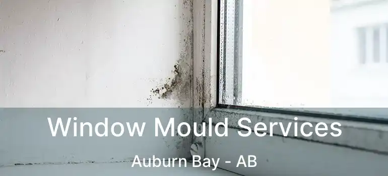  Window Mould Services Auburn Bay - AB