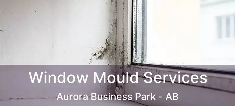  Window Mould Services Aurora Business Park - AB