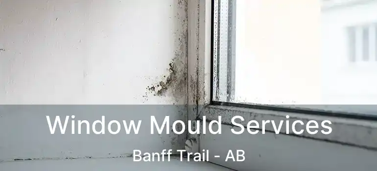  Window Mould Services Banff Trail - AB