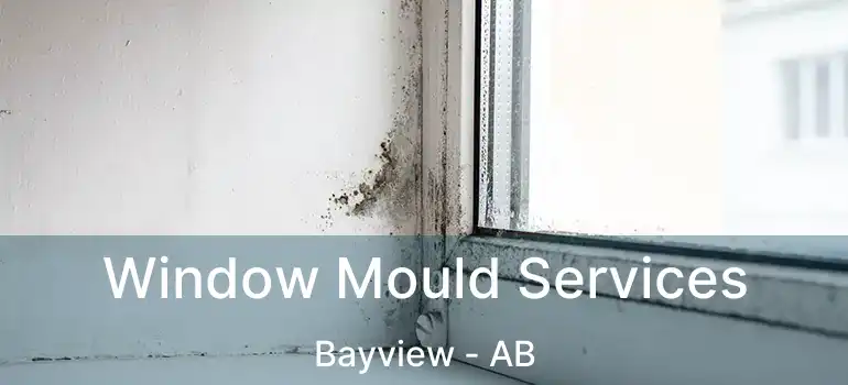  Window Mould Services Bayview - AB