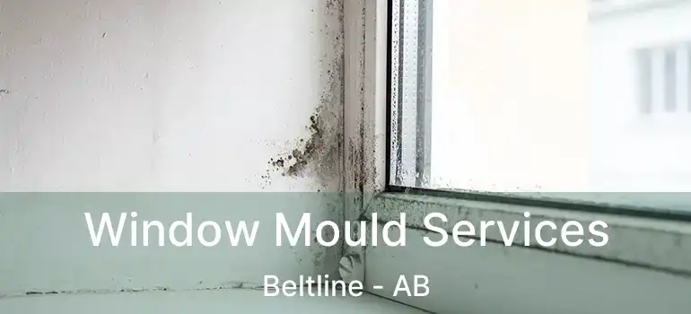  Window Mould Services Beltline - AB