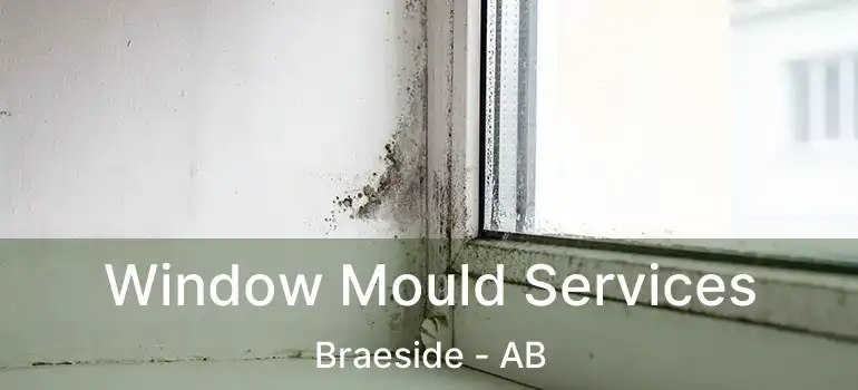  Window Mould Services Braeside - AB